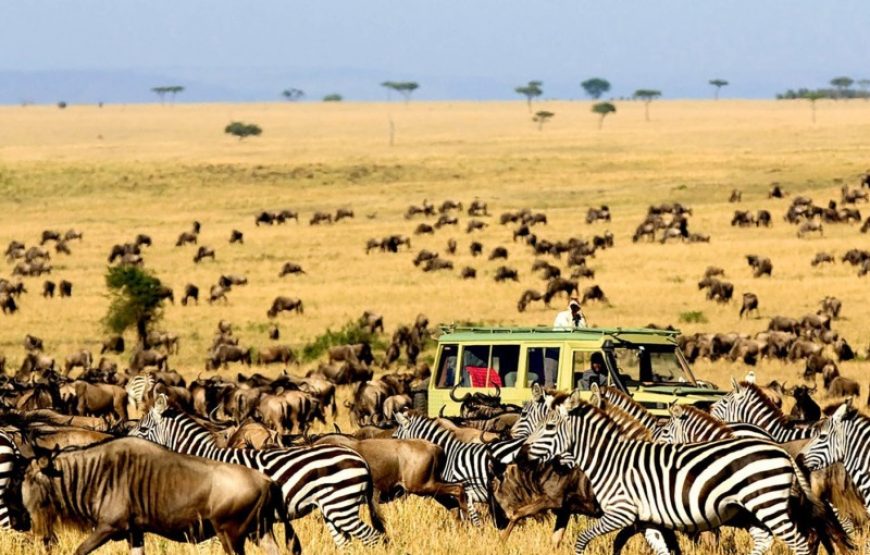 4 Days Serengeti & Ngorongoro Safari Adventure
